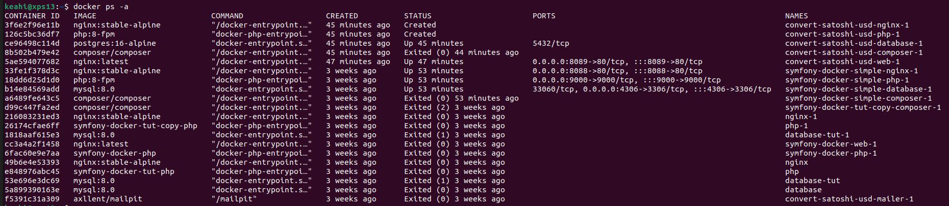 show all docker containers